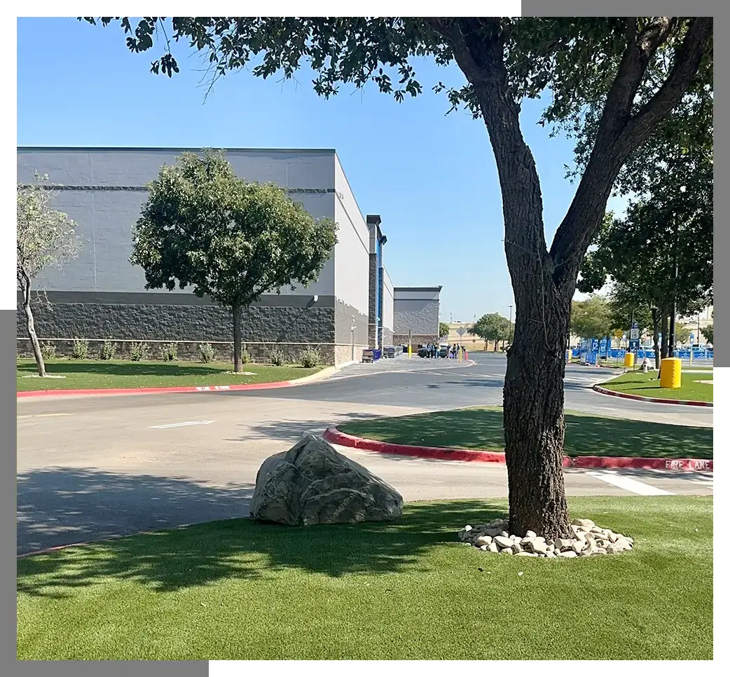 A tree and rocks on a manicured lawn near a building under a clear blue sky.